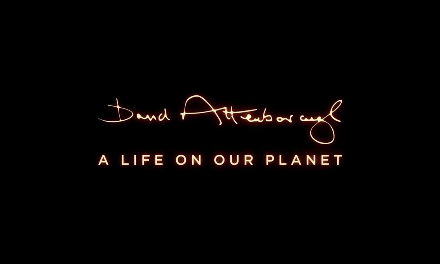 David Attenborough: A Life on Our Planet now on Netflix – Charles Dyer