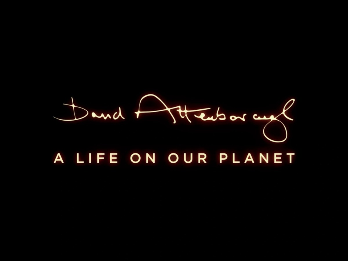 David Attenborough: A Life on Our&nbsp;Planet