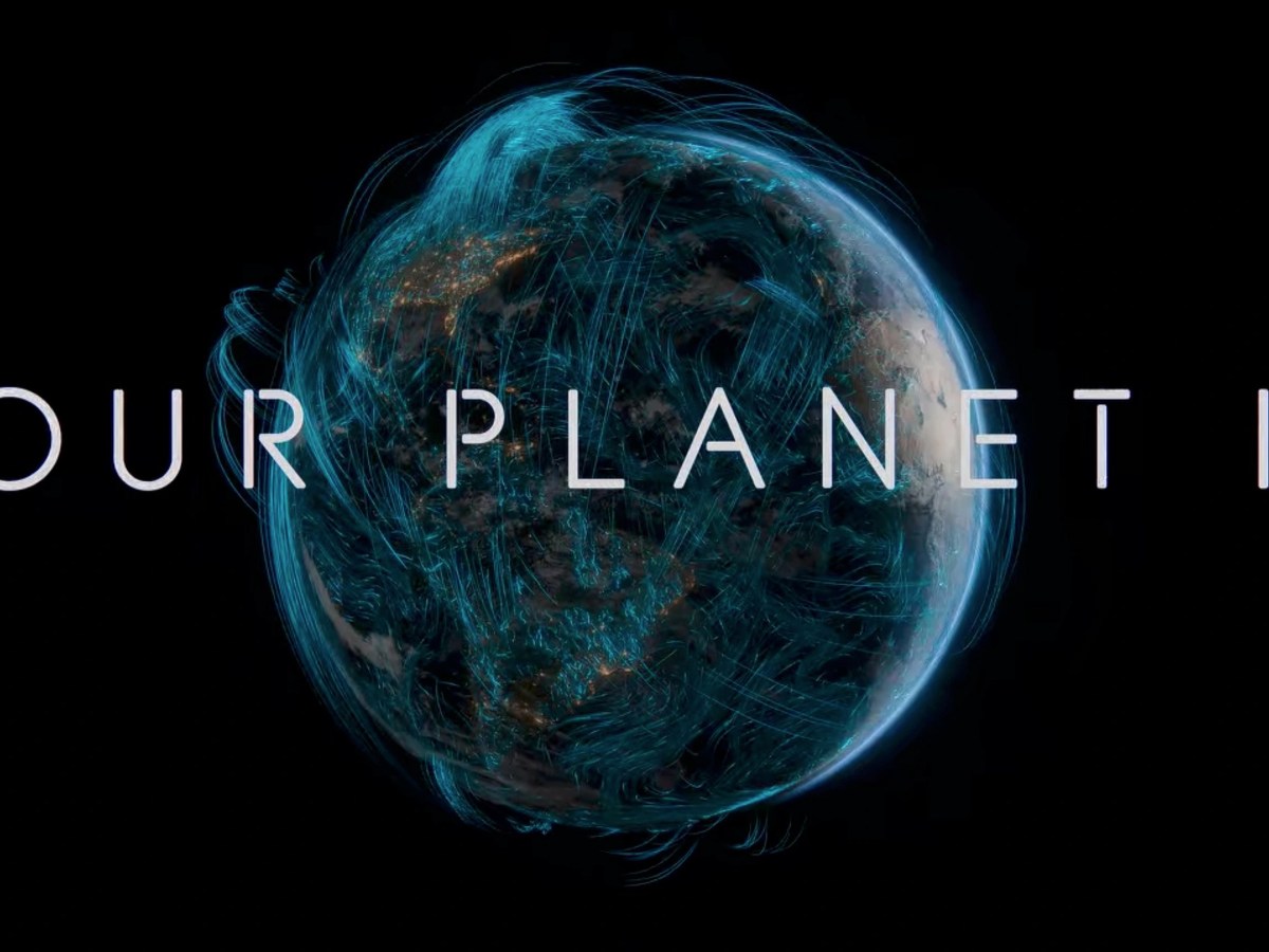 Our Planet Series 2 – Freedom to&nbsp;Roam