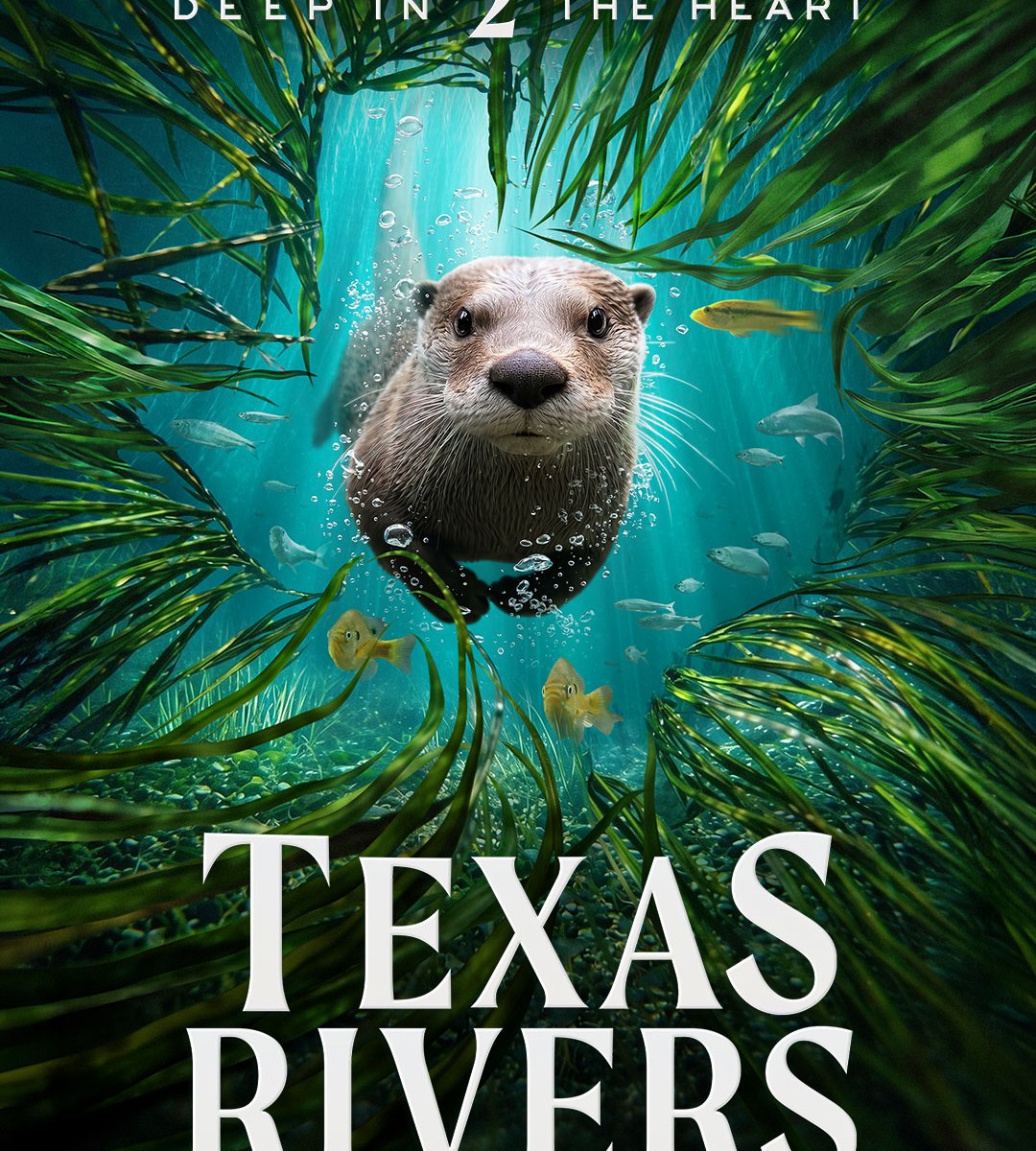 Deep in the Heart 2 Texas Rivers thumbnail poster art