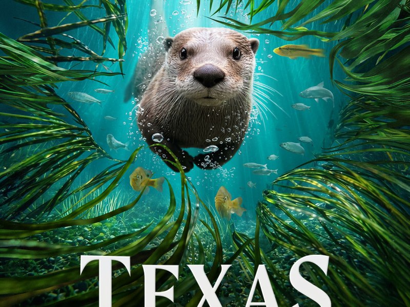 Deep in the Heart 2: Texas&nbsp;Rivers